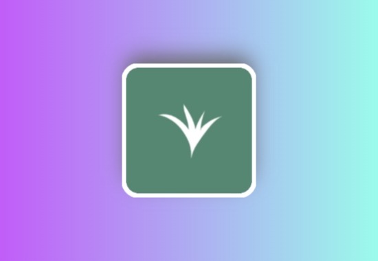 青禾去水印 v1.0.0.3 多平台视频无水印提取工具黑科技-影视-软件-资源-下载-音乐软件-技术资源YHY科技站