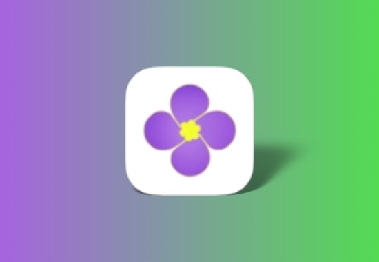 紫金草影视app 竖屏影视 加载快 画质高 超清流畅黑科技-影视-软件-资源-下载-音乐软件-技术资源YHY科技站
