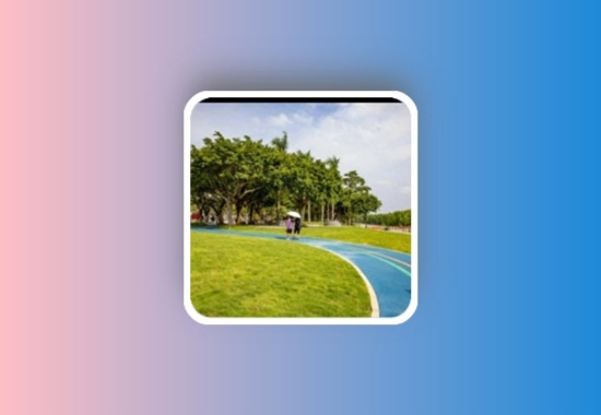 前缘电视 内置超清直播 不调网络 v15-1.2.0 TV版黑科技-影视-软件-资源-下载-音乐软件-技术资源YHY科技站