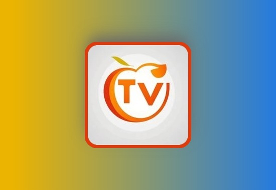 TV 神器| WEB电视资源聚合，专业的电视端直播，突破平台投屏限制黑科技-影视-软件-资源-下载-音乐软件-技术资源YHY科技站