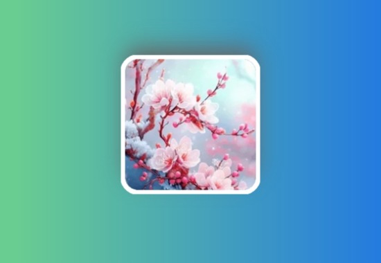梅花直播高级版 v9.9.9 TV内置含你懂的版+直播源+频道密码黑科技-影视-软件-资源-下载-音乐软件-技术资源YHY科技站