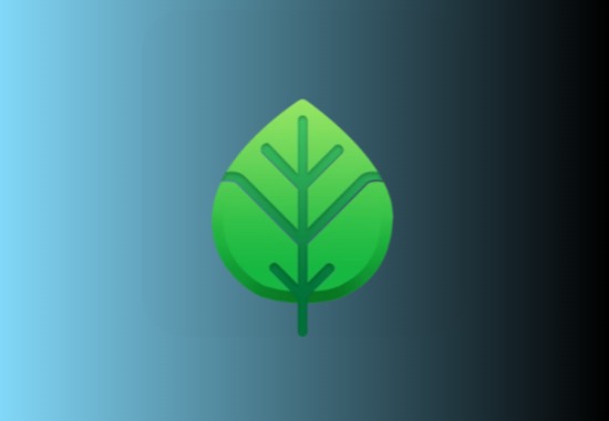 绿叶加速器 v1.0解锁会员版黑科技-影视-软件-资源-下载-音乐软件-技术资源YHY科技站